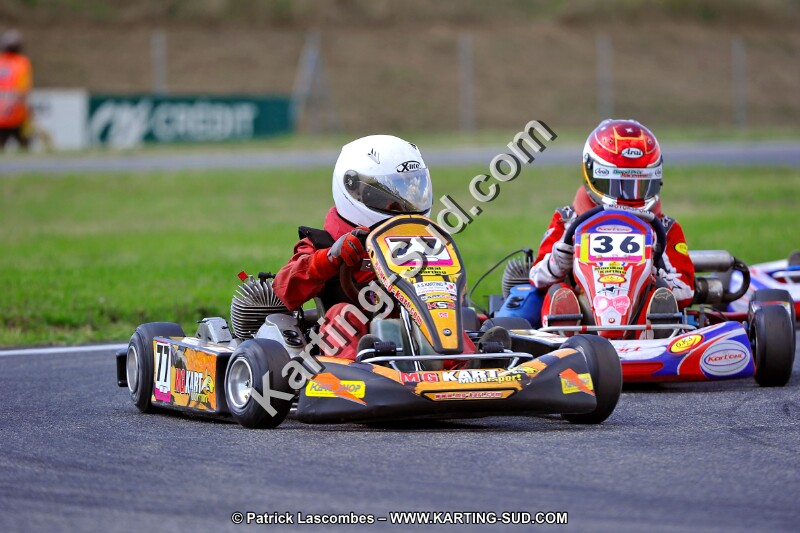 DSC_ (637).jpg